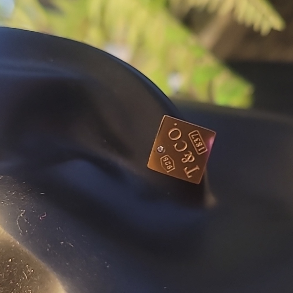 T&CO FASHION INSPIRED EARRINGS